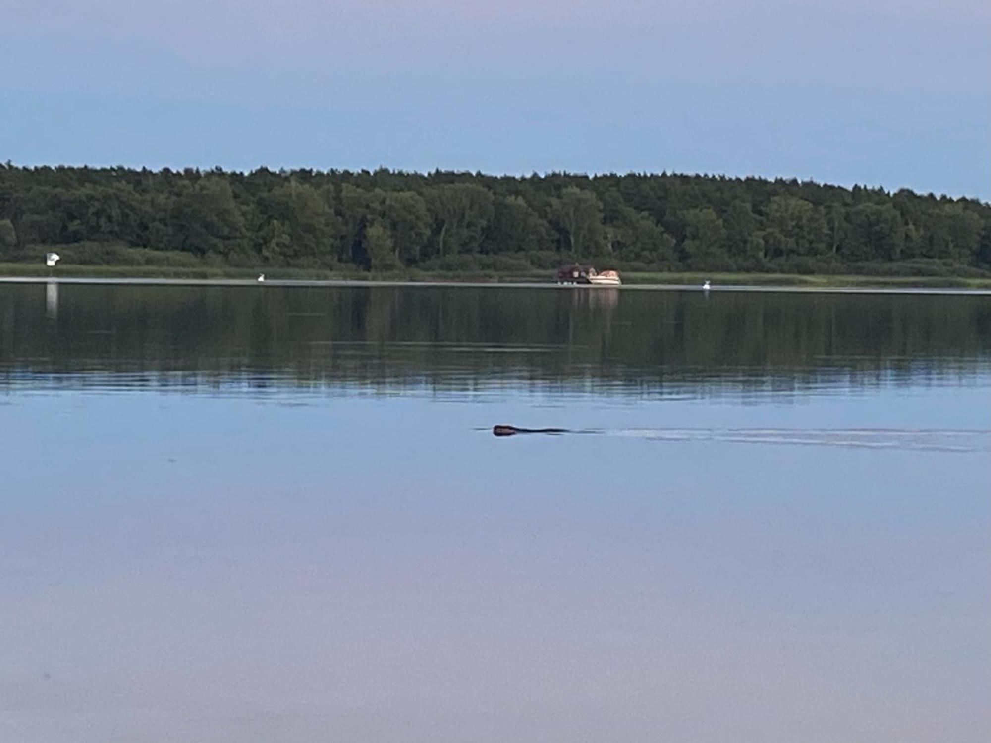 Floß Biberspur Brandenburg an der Havel Exterior foto